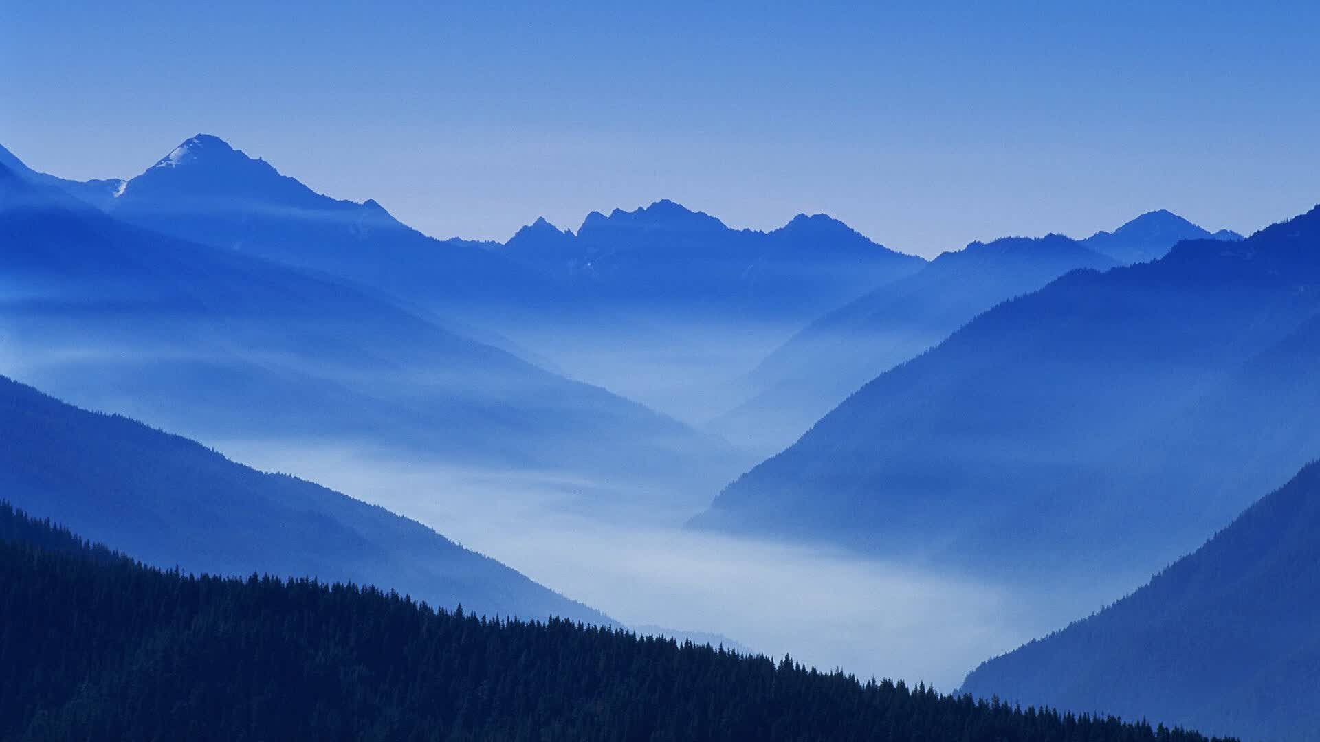 世界羽毛球超级赛：赛程密集考验恢复能力，世界羽毛球大赛视频